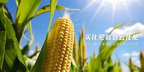 开云APP-?~滴zif1|惁麁n尯??&amp;?橺gy(は和が一起使用)